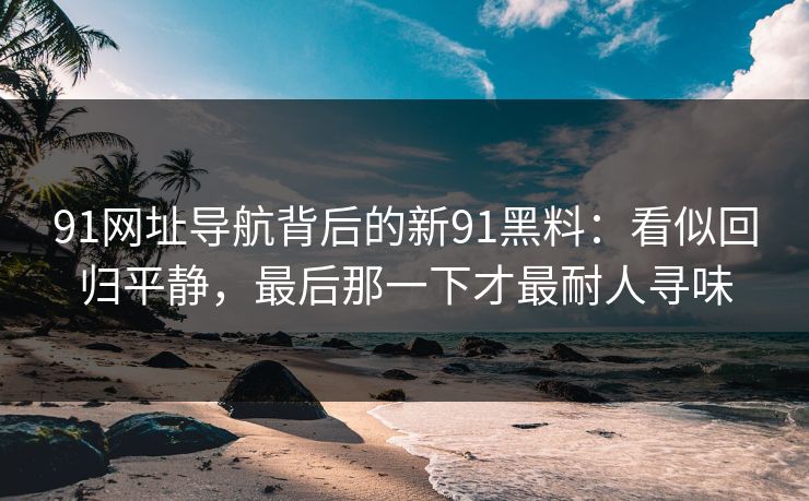91网址导航背后的新91黑料：看似回归平静，最后那一下才最耐人寻味